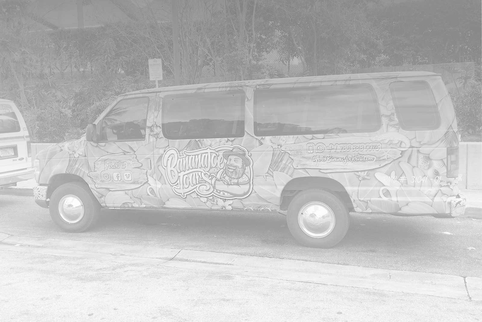 Vehicle Wraps